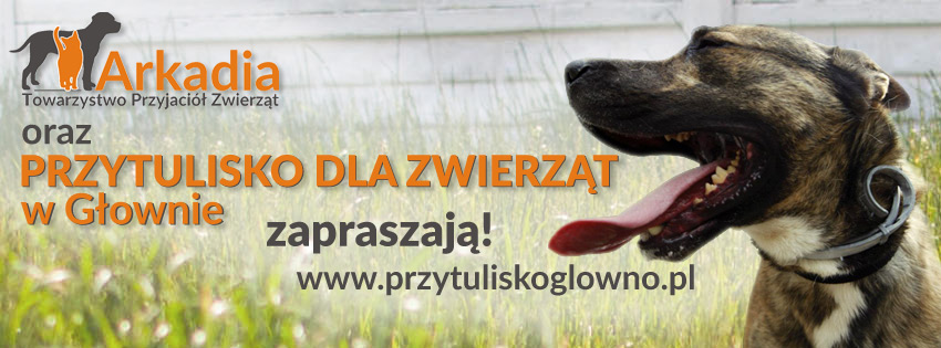 PrzytuliskoGlowno.pl